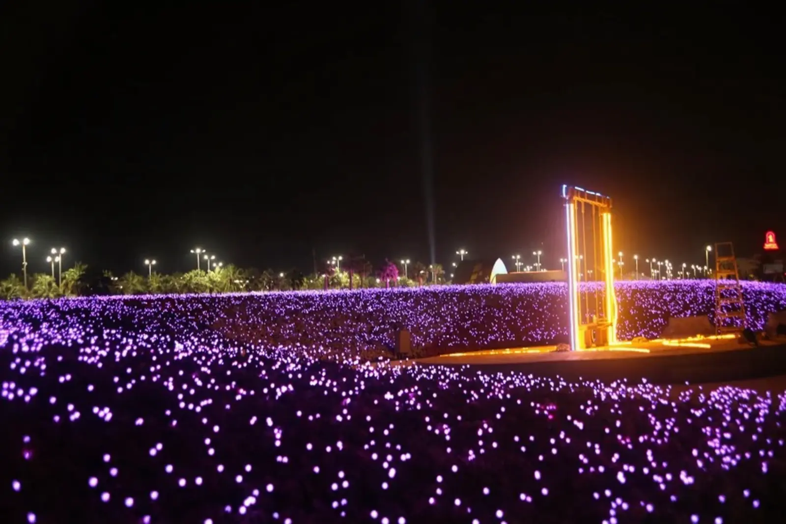 Yanbu Flower Festival — project image 3