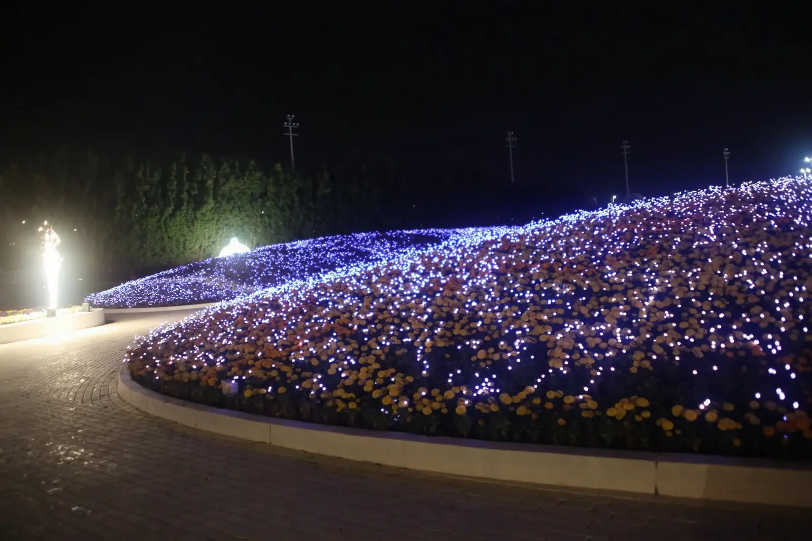 Yanbu Flower Festival — project image 5